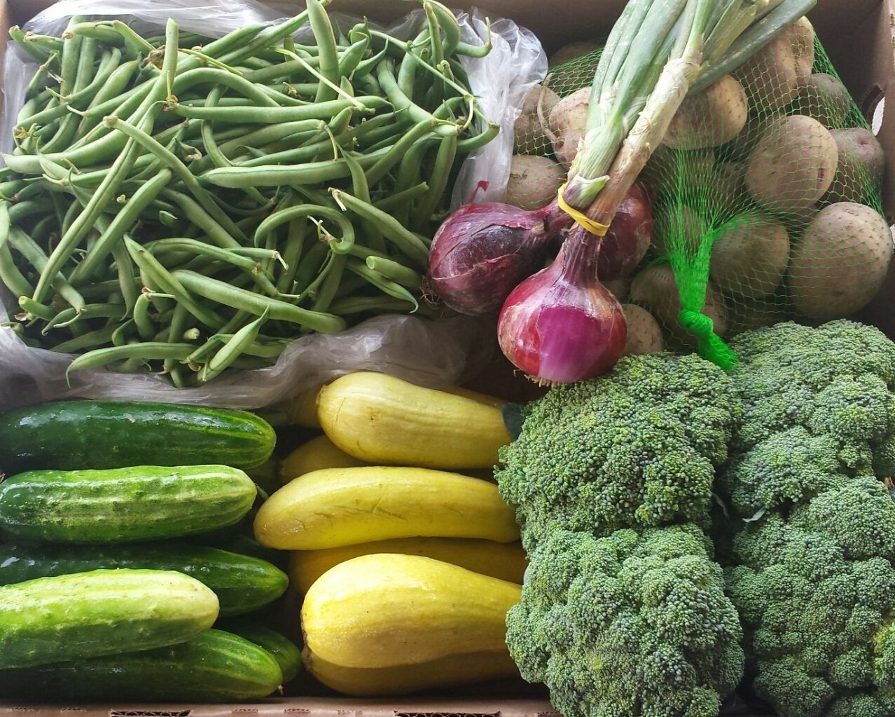 Browntown+Farms+-+Virginia+-+2017-06-18+17.01.39+-+Copy+-+Copy Fresh assortment of vegetables including green beans, cucumbers, yellow squash, broccoli, red onions, and potatoes arranged in a box, ideal for healthy meals and recipes.