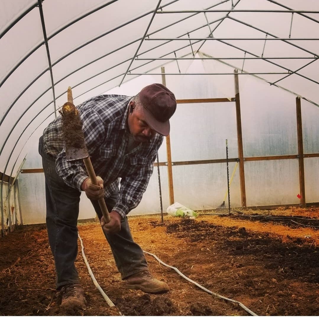 A farmer using a shovel to prepare soil inside a greenhouse, showcasing sustainable agriculture practices and gardening techniques.
