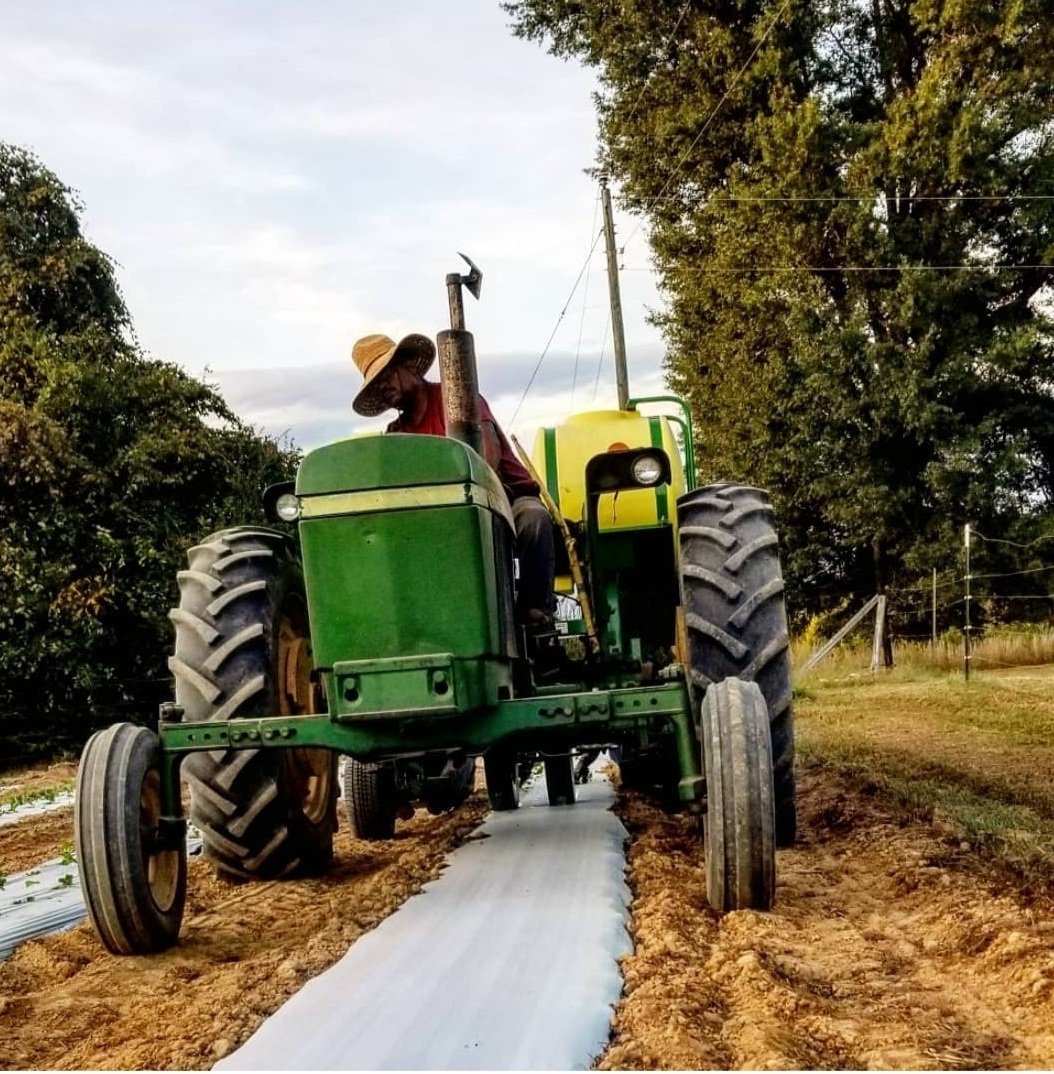 Farmer operating a green tractor on a field, preparing the soil for planting, with a straw hat and agricultural landscape in the background.